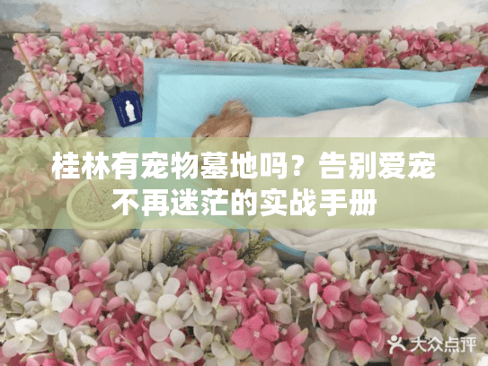 桂林有宠物墓地吗？告别爱宠不再迷茫的实战手册