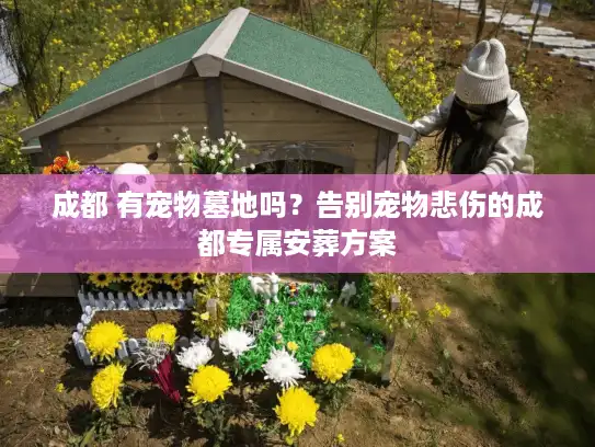 成都 有宠物墓地吗？告别宠物悲伤的成都专属安葬方案