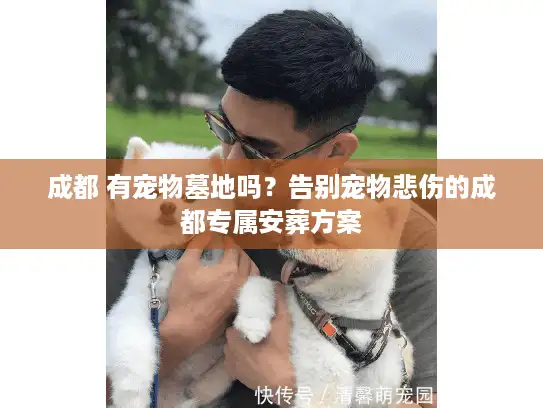 成都 有宠物墓地吗？告别宠物悲伤的成都专属安葬方案