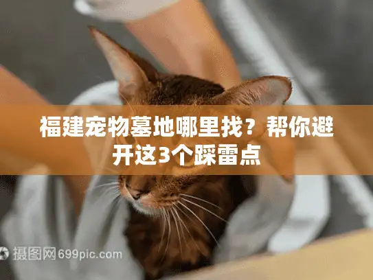 福建宠物墓地哪里找?帮你避开这3个踩雷点 福建宠物墓地哪里找?帮你避开这3个踩雷点