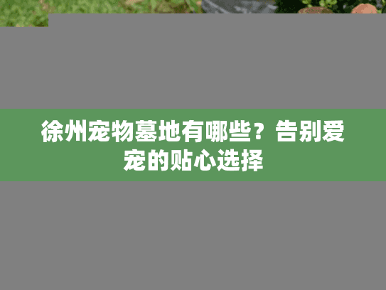 徐州宠物墓地有哪些?告别爱宠的贴心选择 徐州宠物墓地有哪些?告别爱宠的贴心选择