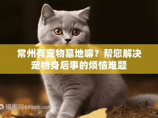 常州有宠物墓地嘛?帮您解决宠物身后事的烦恼难题 常州有宠物墓地嘛?帮您解决宠物身后事的烦恼难题