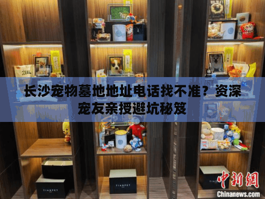 长沙宠物墓地地址电话找不准？资深宠友亲授避坑秘笈