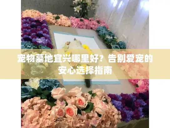 宠物墓地宜兴哪里好?告别爱宠的安心选择指南 宠物墓地宜兴哪里好?告别爱宠的安心选择指南