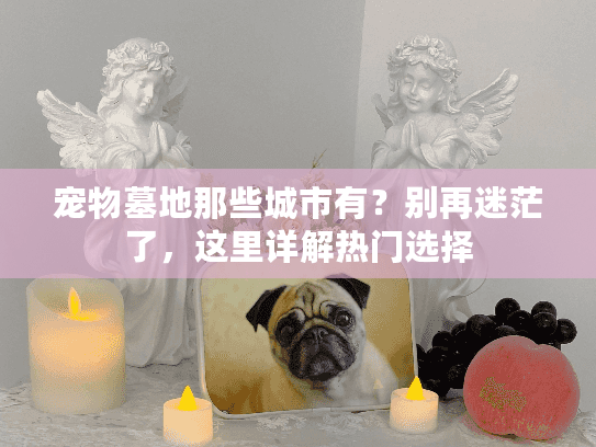 宠物墓地那些城市有？别再迷茫了，这里详解热门选择
