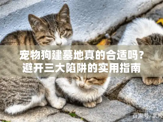 宠物狗建墓地真的合适吗?避开三大陷阱的实用指南 宠物狗建墓地真的合适吗?避开三大陷阱的实用指南