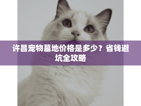 许昌宠物墓地价格是多少？省钱避坑全攻略