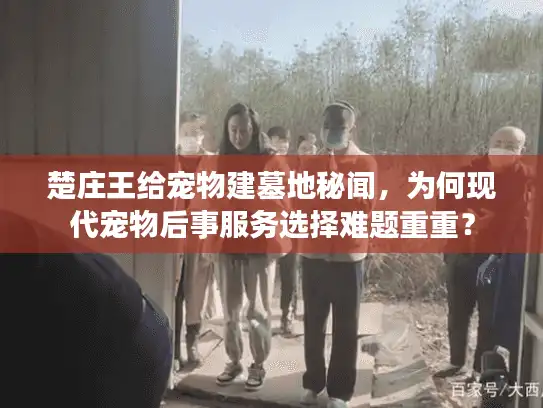 楚庄王给宠物建墓地秘闻，为何现代宠物后事服务选择难题重重？