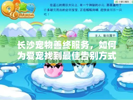 长沙宠物善终服务,如何为爱宠找到最佳告别方式? 长沙宠物善终服务,如何为爱宠找到最佳告别方式?