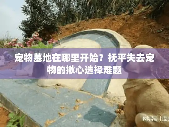 宠物墓地在哪里开始?抚平失去宠物的揪心选择难题 宠物墓地在哪里开始?抚平失去宠物的揪心选择难题