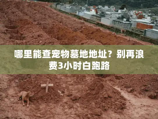 哪里能查宠物墓地地址？别再浪费3小时白跑路