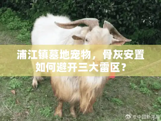 浦江镇墓地宠物,骨灰安置如何避开三大雷区? 浦江镇墓地宠物,骨灰安置如何避开三大雷区?