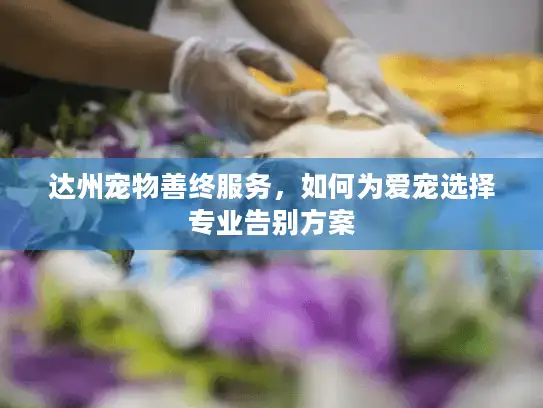 达州宠物善终服务,如何为爱宠选择专业告别方案 达州宠物善终服务,如何为爱宠选择专业告别方案