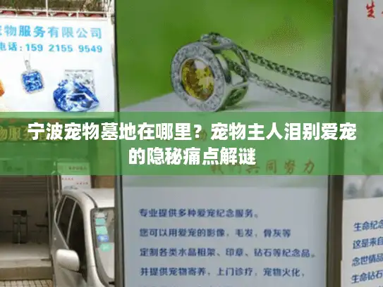 宁波宠物墓地在哪里?宠物主人泪别爱宠的隐秘痛点解谜 宁波宠物墓地在哪里?宠物主人泪别爱宠的隐秘痛点解谜