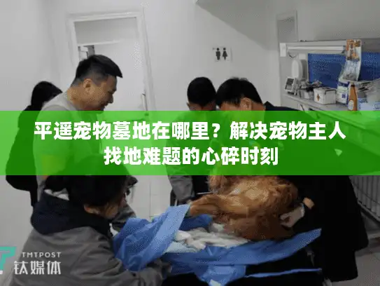 平遥宠物墓地在哪里？解决宠物主人找地难题的心碎时刻