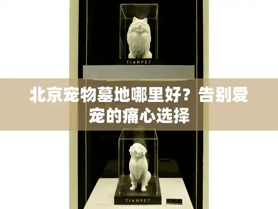 北京宠物墓地哪里好？告别爱宠的痛心选择