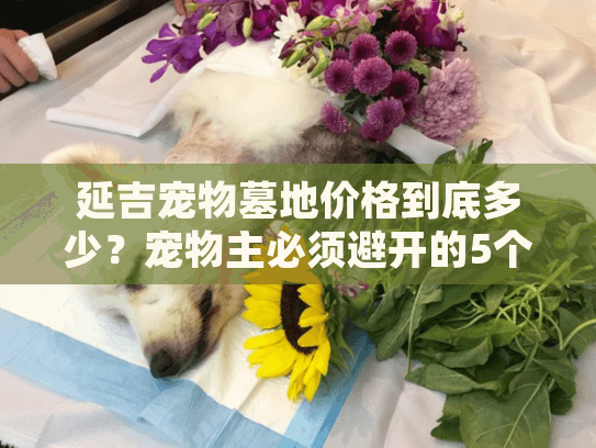 延吉宠物墓地价格到底多少？宠物主必须避开的5个定价陷阱