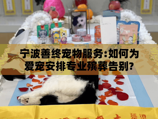 宁波善终宠物服务:如何为爱宠安排专业殡葬告别?