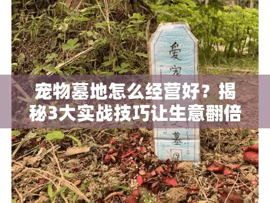 宠物墓地怎么经营好？揭秘3大实战技巧让生意翻倍