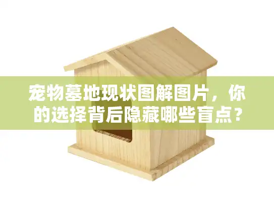 宠物墓地现状图解图片，你的选择背后隐藏哪些盲点？