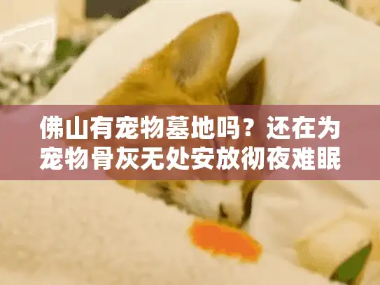 佛山有宠物墓地吗？还在为宠物骨灰无处安放彻夜难眠吗？