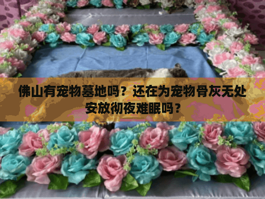 佛山有宠物墓地吗？还在为宠物骨灰无处安放彻夜难眠吗？
