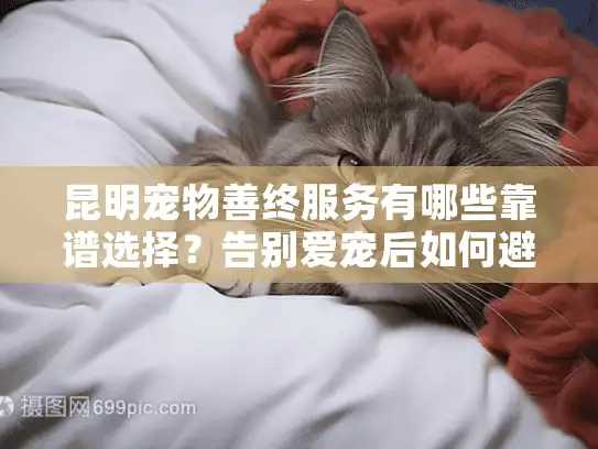 昆明宠物善终服务有哪些靠谱选择？告别爱宠后如何避免踩坑？