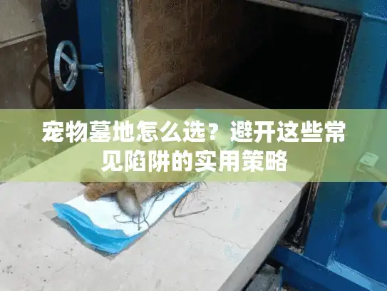 宠物墓地怎么选？避开这些常见陷阱的实用策略