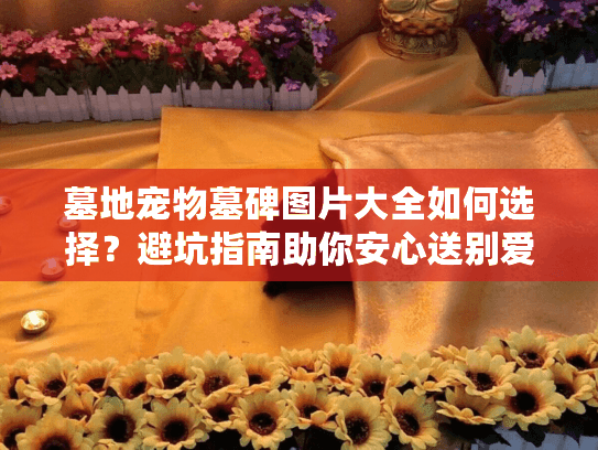 墓地宠物墓碑图片大全如何选择？避坑指南助你安心送别爱宠