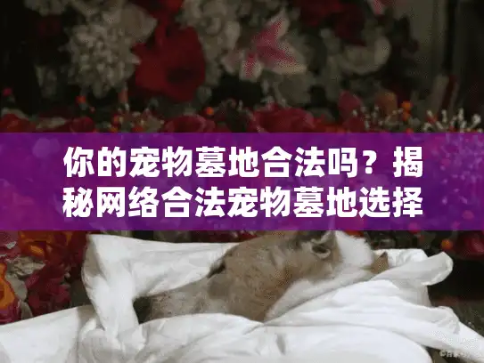 你的宠物墓地合法吗？揭秘网络合法宠物墓地选择避坑关键 字符数，42）