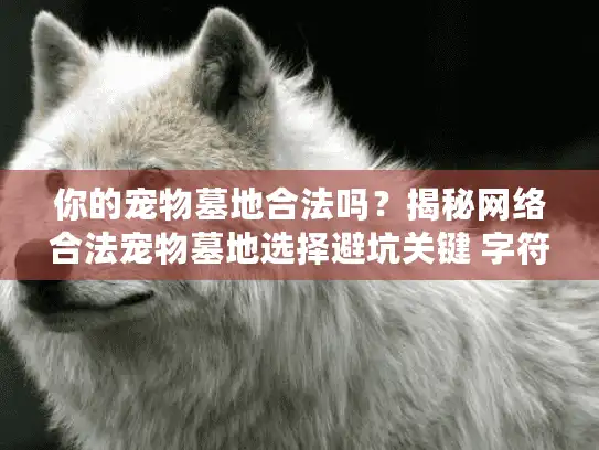 你的宠物墓地合法吗？揭秘网络合法宠物墓地选择避坑关键 字符数，42）