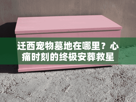 迁西宠物墓地在哪里?心痛时刻的终极安葬救星 迁西宠物墓地在哪里?心痛时刻的终极安葬救星