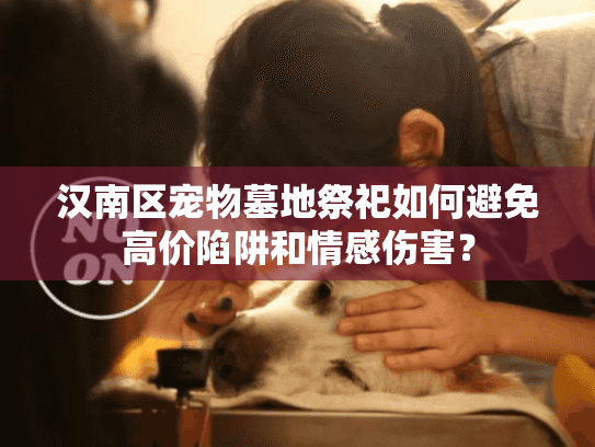 汉南区宠物墓地祭祀如何避免高价陷阱和情感伤害？