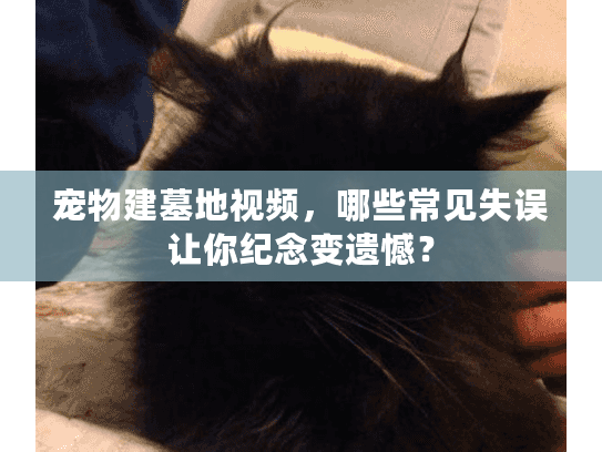 宠物建墓地视频,哪些常见失误让你纪念变遗憾? 宠物建墓地视频,哪些常见失误让你纪念变遗憾?