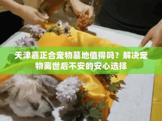 天津嘉正合宠物墓地值得吗?解决宠物离世后不安的安心选择 天津嘉正合宠物墓地值得吗?解决宠物离世后不安的安心选择