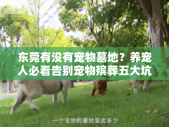 东莞有没有宠物墓地？养宠人必看告别宠物殡葬五大坑！