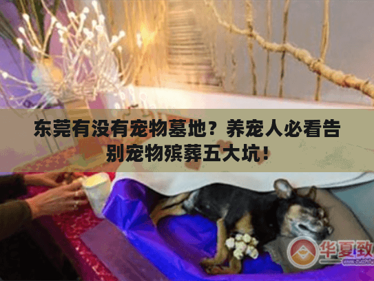 东莞有没有宠物墓地？养宠人必看告别宠物殡葬五大坑！