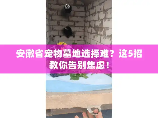 安徽省宠物墓地选择难？这5招教你告别焦虑！