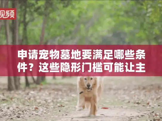 申请宠物墓地要满足哪些条件？这些隐形门槛可能让主人措手不及