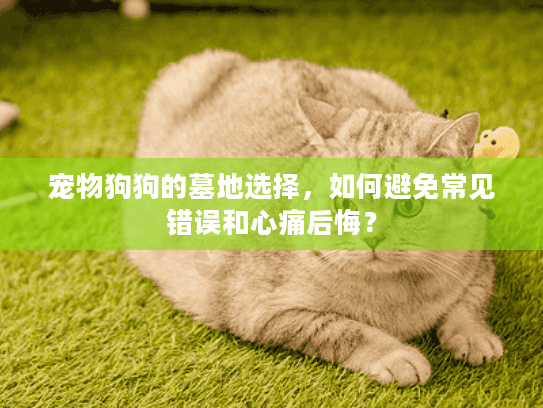 宠物狗狗的墓地选择，如何避免常见错误和心痛后悔？