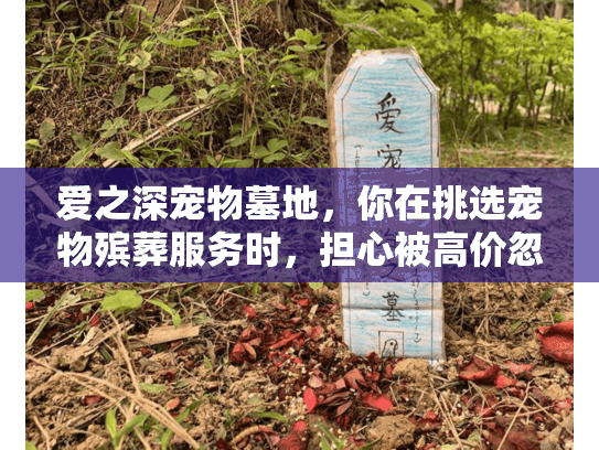 爱之深宠物墓地，你在挑选宠物殡葬服务时，担心被高价忽悠或服务不贴心吗？