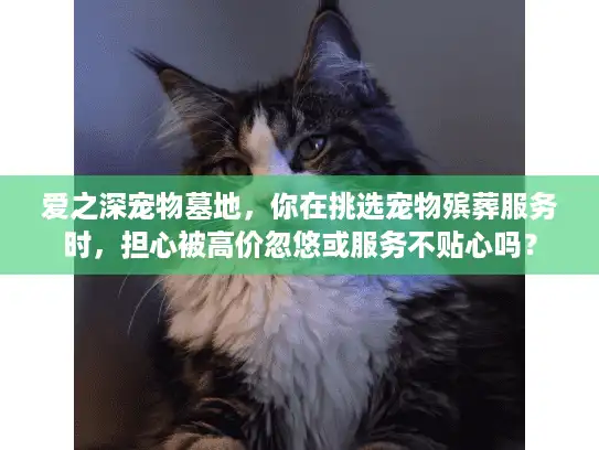 爱之深宠物墓地，你在挑选宠物殡葬服务时，担心被高价忽悠或服务不贴心吗？