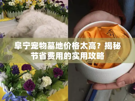 阜宁宠物墓地价格太高?揭秘节省费用的实用攻略 阜宁宠物墓地价格太高?揭秘节省费用的实用攻略