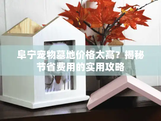 阜宁宠物墓地价格太高?揭秘节省费用的实用攻略 阜宁宠物墓地价格太高?揭秘节省费用的实用攻略