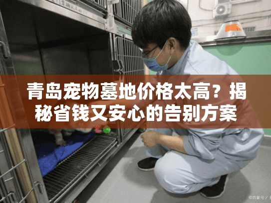 青岛宠物墓地价格太高？揭秘省钱又安心的告别方案