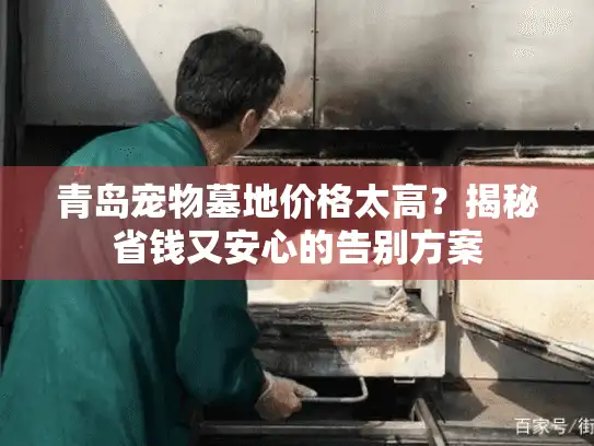 青岛宠物墓地价格太高？揭秘省钱又安心的告别方案