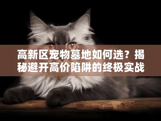 高新区宠物墓地如何选？揭秘避开高价陷阱的终极实战攻略