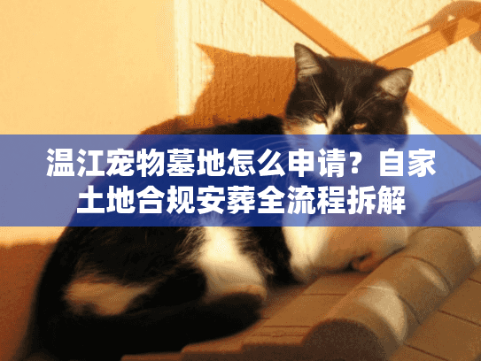 温江宠物墓地怎么申请？自家土地合规安葬全流程拆解