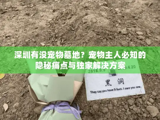 深圳有没宠物墓地?宠物主人必知的隐秘痛点与独家解决方案 深圳有没宠物墓地?宠物主人必知的隐秘痛点与独家解决方案