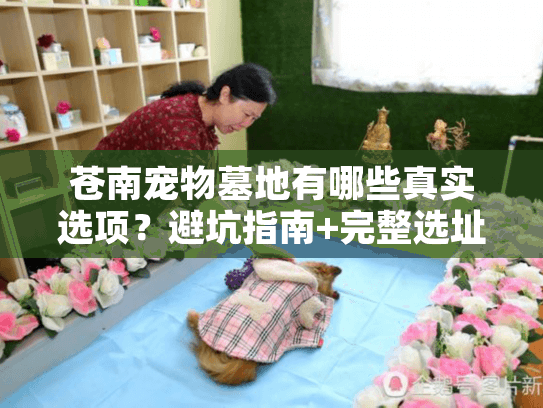 苍南宠物墓地有哪些真实选项?避坑指南+完整选址清单 苍南宠物墓地有哪些真实选项?避坑指南+完整选址清单
